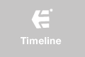 etnies 20 year timeline